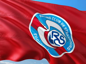 开云体育中国-帕尔梅拉斯攻防转换加快，比赛节奏全面提升