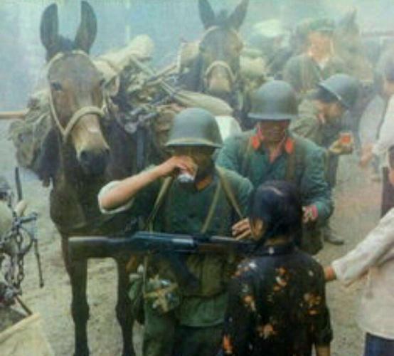 匈牙利队奇袭反击，屡败屡战气吞千里的简单介绍