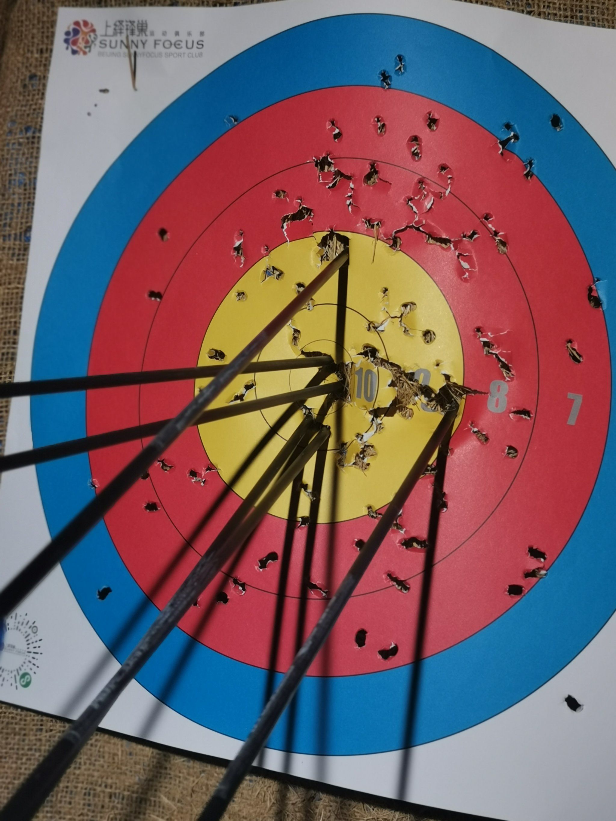 射箭传奇:意大利选手射中靶心夺冠 射箭传奇:意大利选手射中靶心夺冠