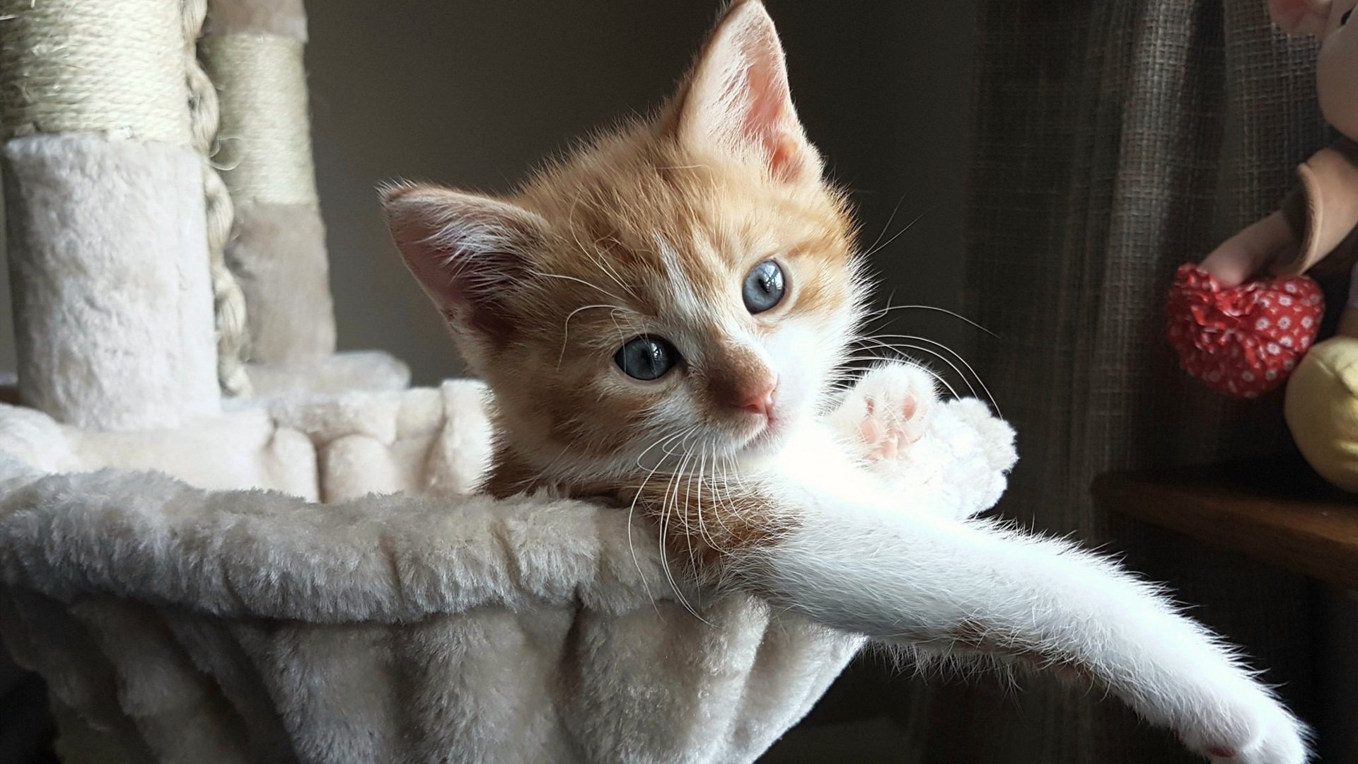 统治欧冠之夜,马丁内利划破诺坎普天空