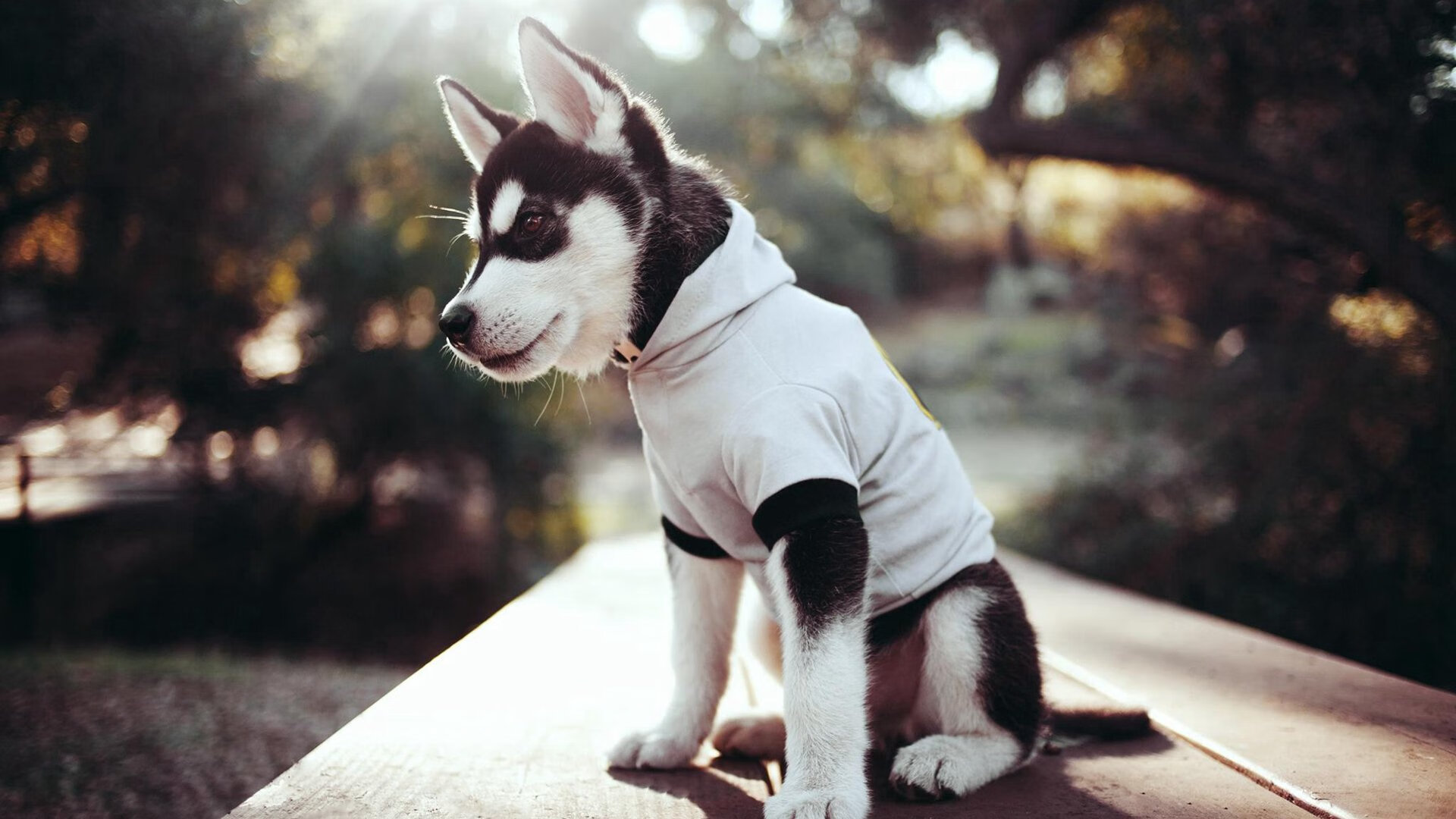 三分狂潮摧毁费城铁壁!贝恩独舞引领尼克斯窒息式进攻狂潮