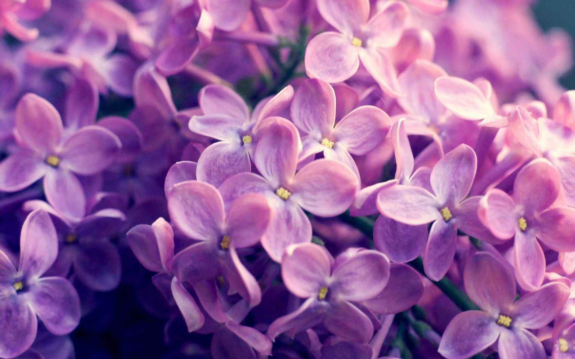 开云体育app-逆袭与星光，足球舞台上的草根怒吼与王者低吟