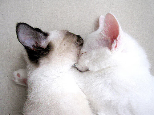 开云体育app-国际米兰式火力全开，北欧壁垒能否抵挡？2026世界杯战术革命进行时