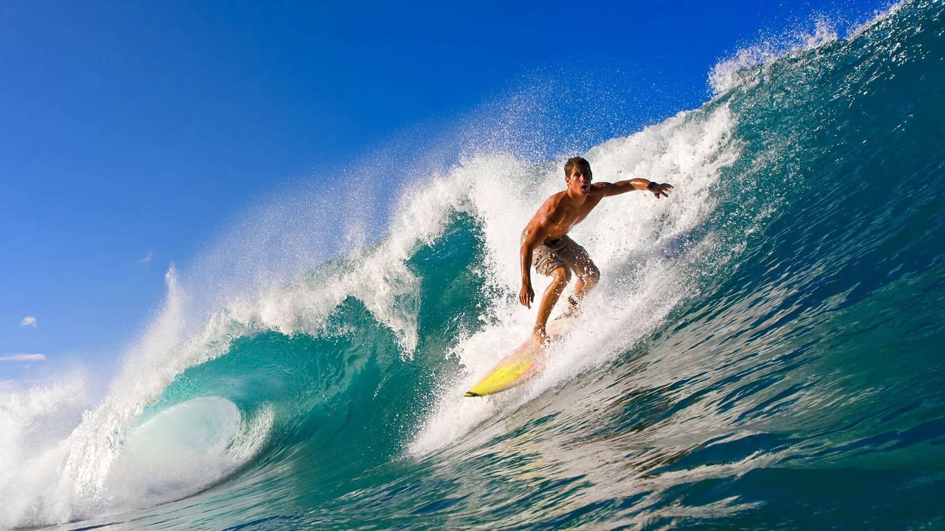 特奥单骑打爆格子军，厄瓜多尔掀翻世界杯巨舰