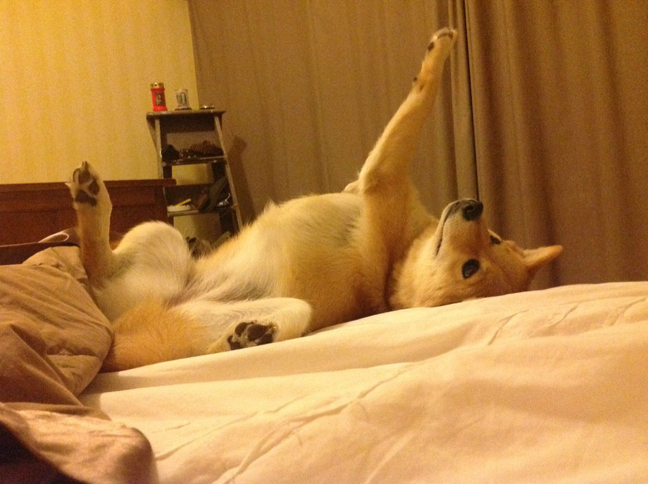 开云APP-双詹姆斯的启示，关键战役中的领袖法则