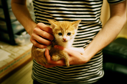 开云体育官网-英超争冠烽火连天，塞维利亚欧战狂扫冰岛显霸气