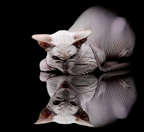 基米希导演诺坎普之夜，巴萨3-1莱比锡红牛，冠军级中场掌控全局