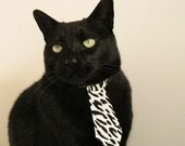 开云体育下载-美国掀桌！拜仁垄断被打破，英格兰磐石斯通斯成关键先生