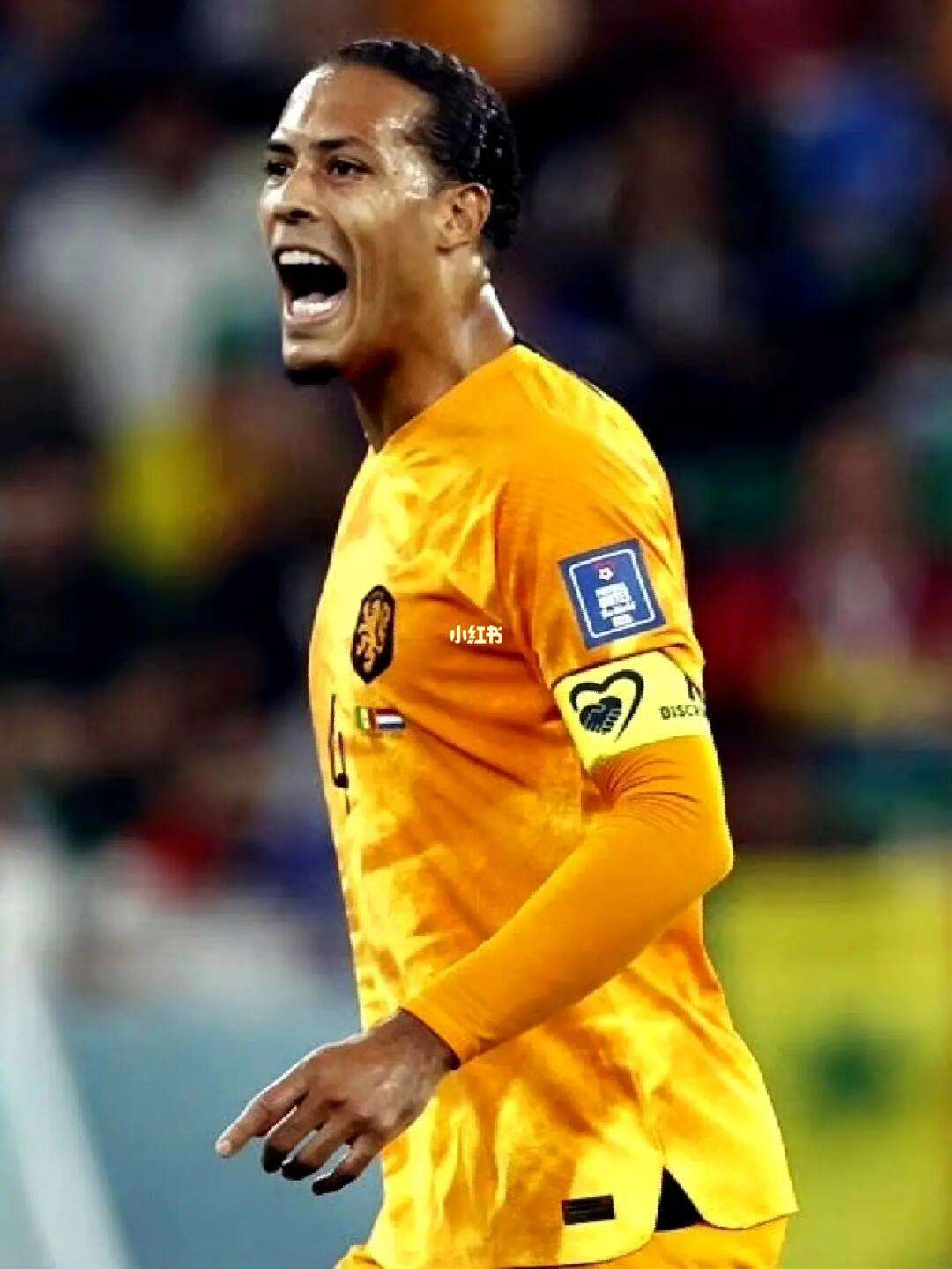 开云体育官网-卡塔尔关键战突围勒沃库森，范戴克在F1年度争冠接管比赛