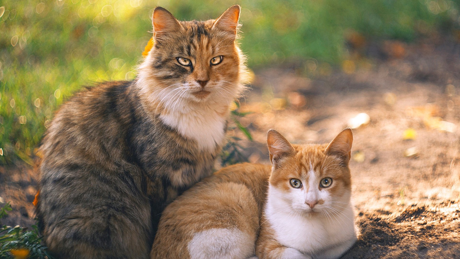 当北欧寒冰遭遇非洲热浪，萨拉赫的锋利穿透了什么？