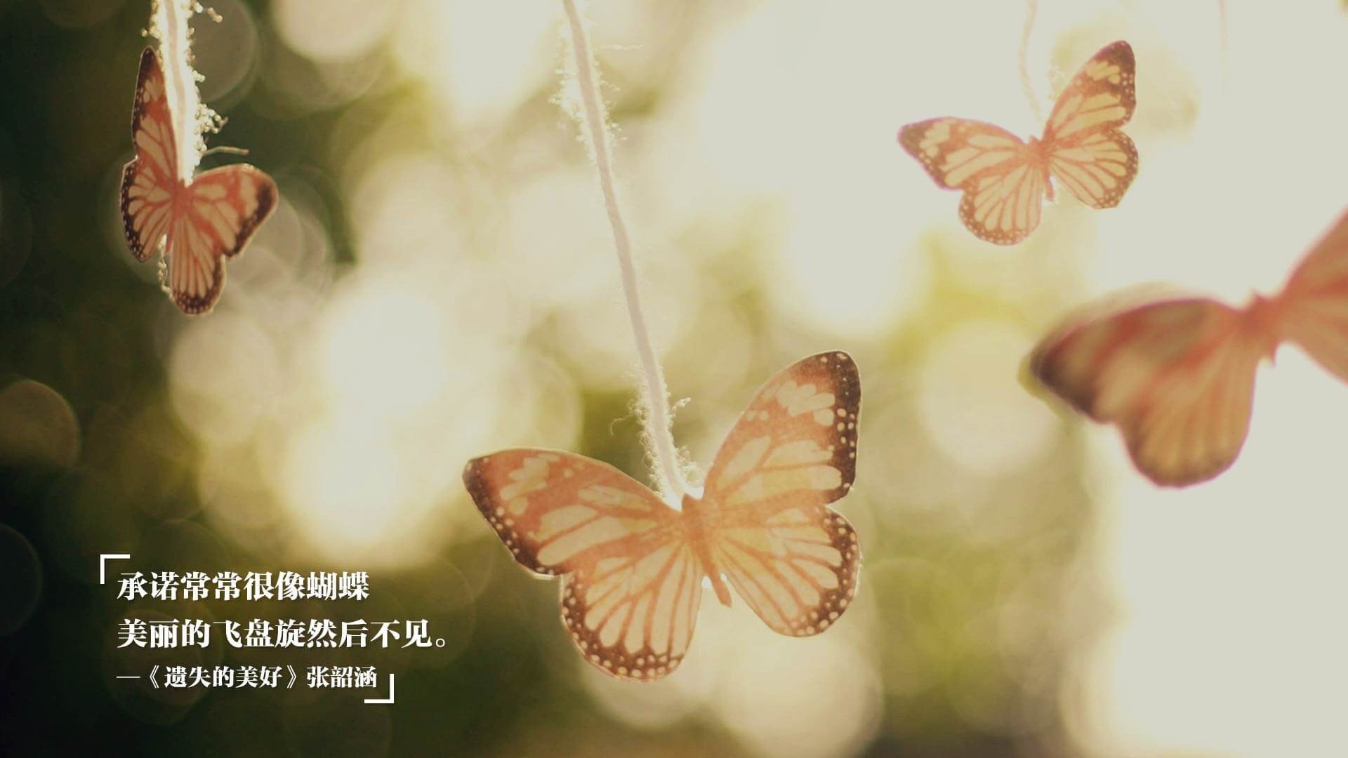 当北欧寒冰遭遇非洲热浪，萨拉赫的锋利穿透了什么？