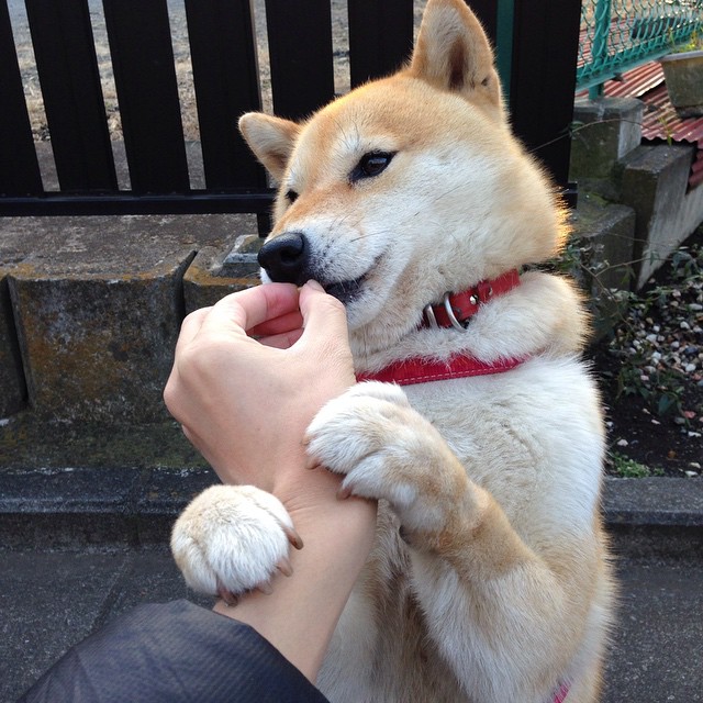 一人得分的交响乐，恩比德数据史诗夜，魔术用青春风暴书写团队答案