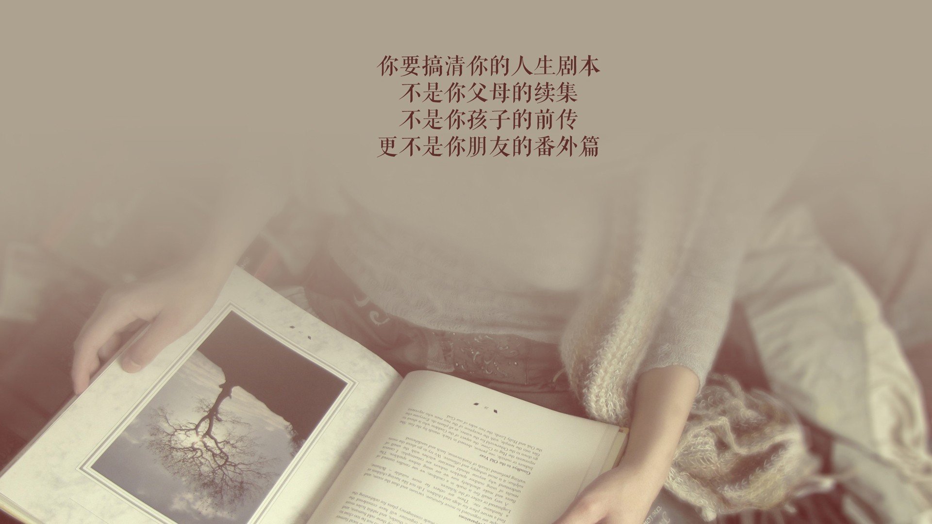 逆转之夜,莱万多夫斯基绝杀喀麦隆,波兰战术照亮2026世界杯H组